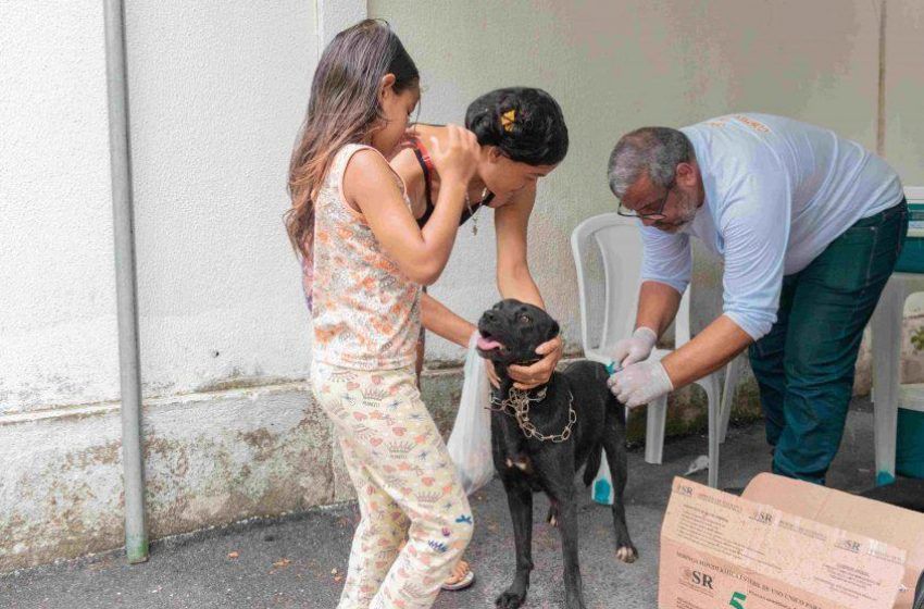 Prefeitura inicia campanha de vacinação antirrábica