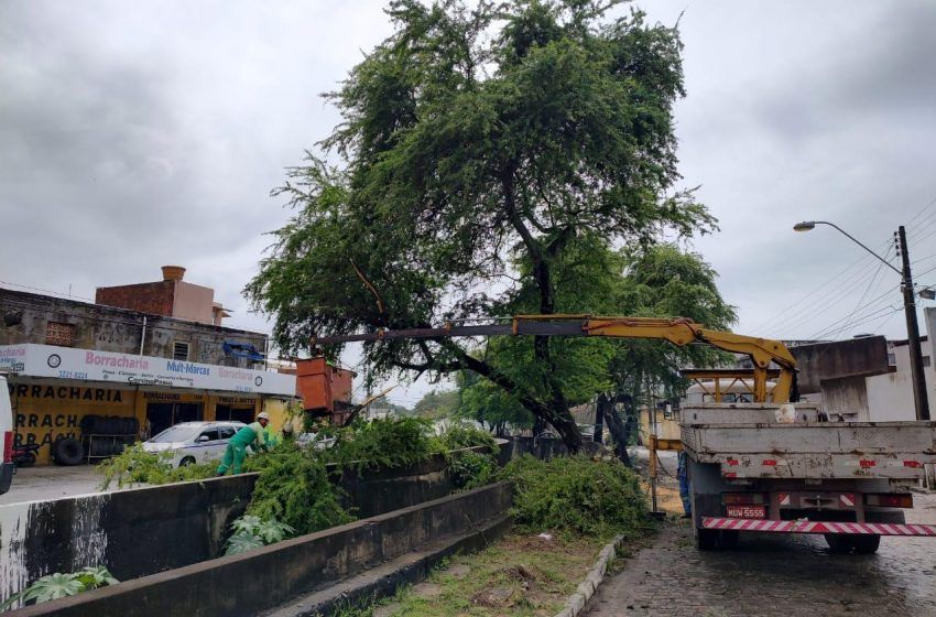 Limpeza reduziu prejuízos causados pelas chuvas