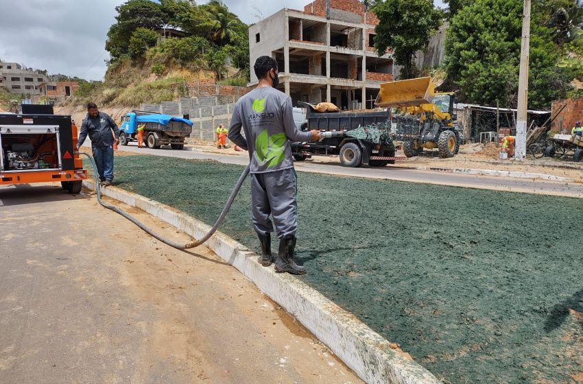Desenvolvimento Sustentável inicia aplicação de grama