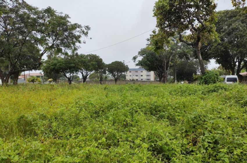 Terreno abandonado: população pode denunciar