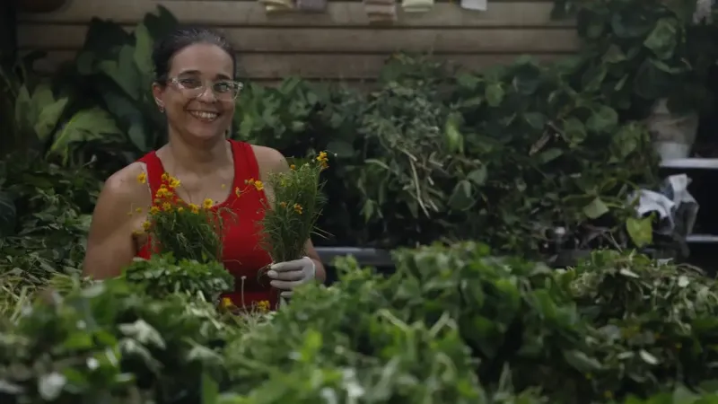 Tradição e fé impulsionam busca por banhos e ervas no fim de ano