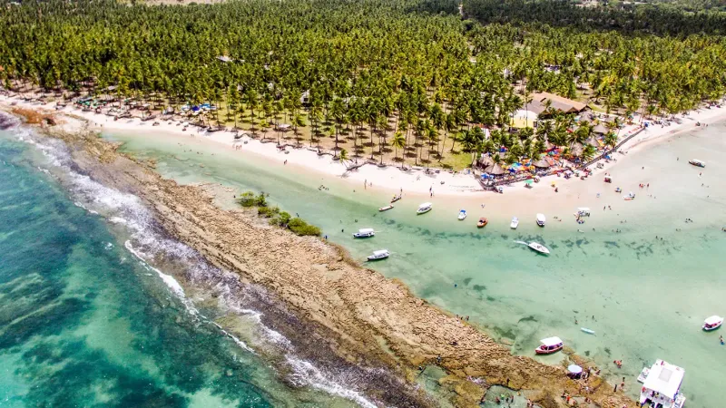 Barulho de barco e de turistas afeta comunicação de peixes, diz estudo