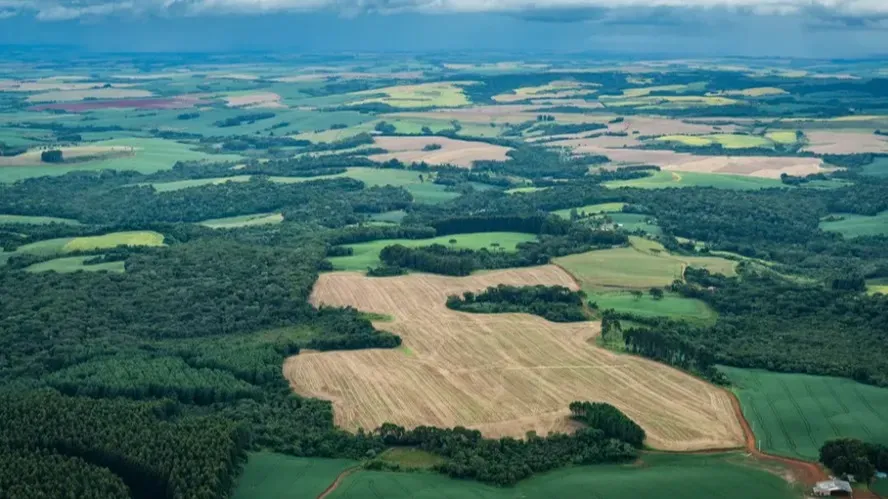 Desmatamento no Brasil fica abaixo de 1 milhão de hectares pela 1ª vez da série histórica