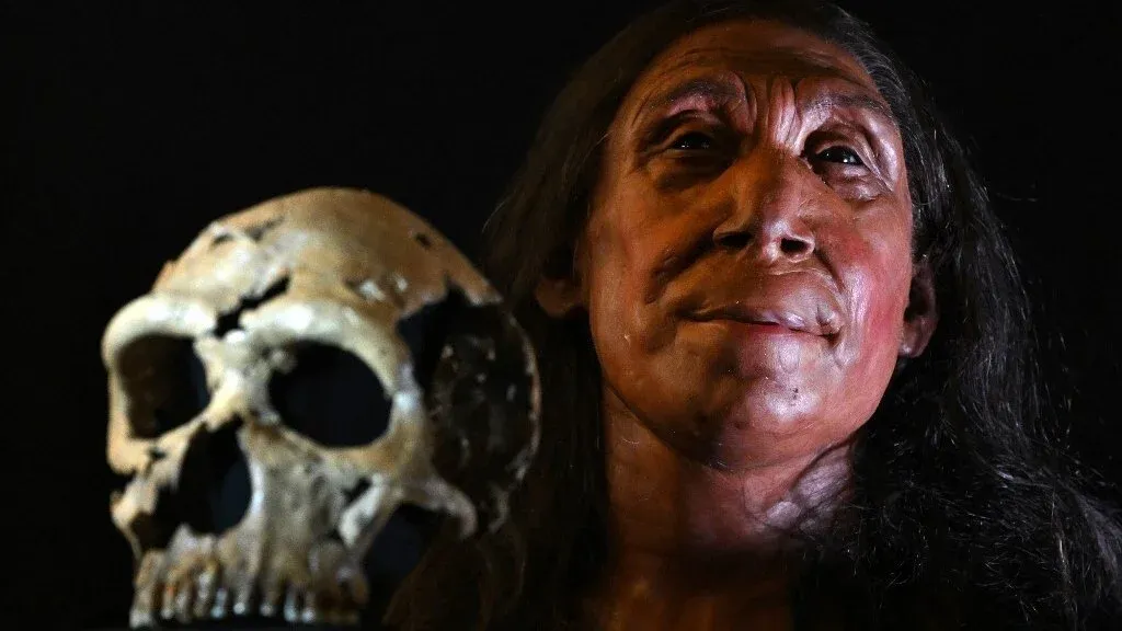 Pesquisadores descobrem evidência mais antiga de cruzamento entre humanos e neandertais