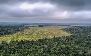 Prorrogada adesão a programa de combate ao desmatamento na Amazônia