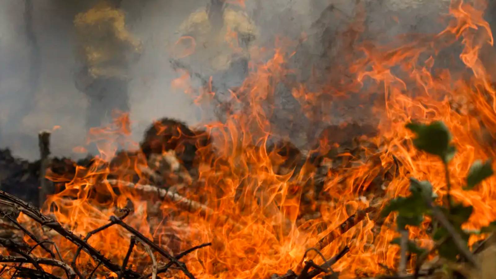 Quase 1/4 do território brasileiro pegou fogo nos últimos 40 anos