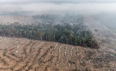 Fundo da Amazônia terá contribuição de R$ 91 milhões da Irlanda