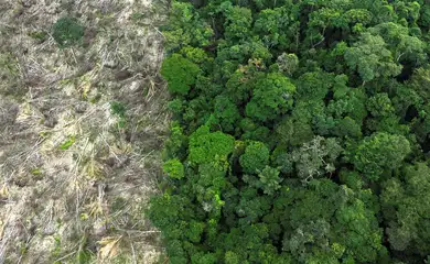 Dino dá prazo de 60 dias para Amazônia e Pantanal aderirem ao Sinaflor