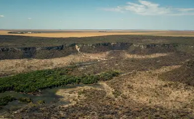 Governo monta força-tarefa para conter desmatamento no Cerrado