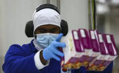 Sociedade médica alerta para risco de acidentes com as mãos