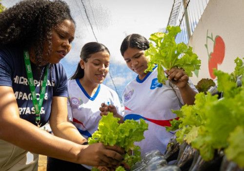 Parceria entre Seduc e Sedics leva horta hidropônica para escola estadual no Benedito Bentes