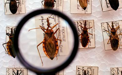 Plataforma pretende reunir pesquisas sobre a Doença de Chagas
