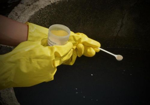 Sesau promove neste sábado ação para o Dia D Nacional de Combate à Dengue