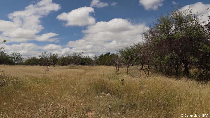 Como um deserto pode estar se formando no Nordeste do Brasil