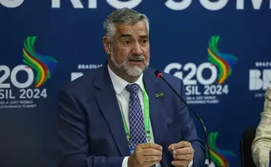 Pimenta vê participação do governo Bolsonaro em planejamento de crimes