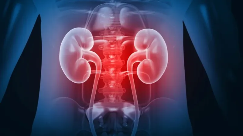 Urologista aponta as bebidas que mais prejudicam a saúde dos rins