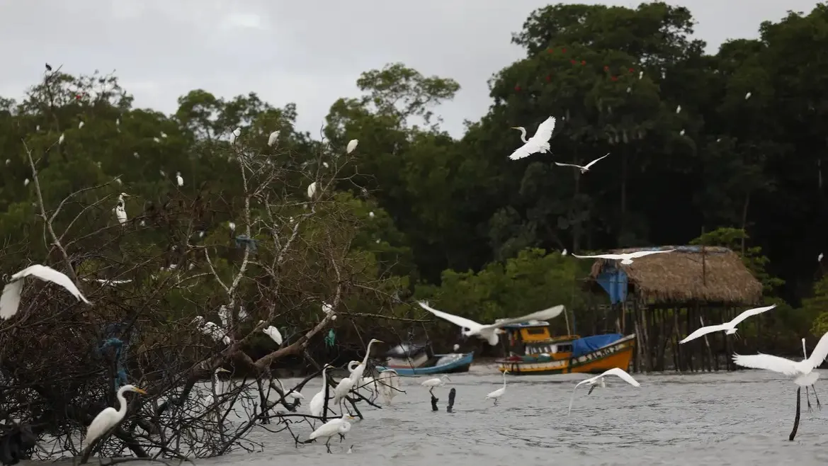 Amazônia Soberana: programa vai combater crimes em áreas de fronteira