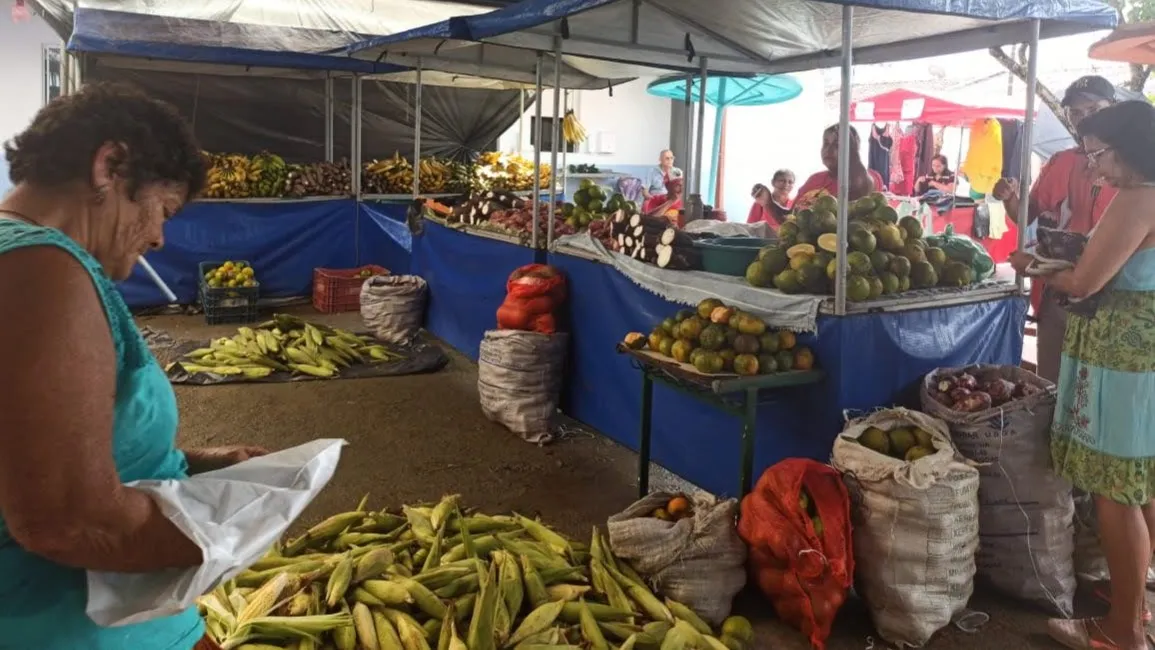 Programação cultural recheada e comida sem veneno, Feira Agroecológica Novo Jardim está de volta