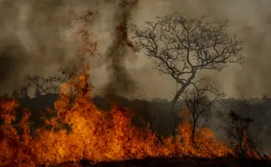 Desastres climáticos aumentaram 250% nos últimos quatro anos no país