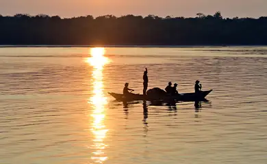 Alterações climáticas e ondas de calor estão a dizimar oxigênio nos lagos