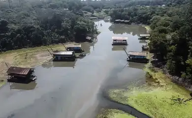 Rios na Amazônia têm risco muito alto de contaminação por mercúrio