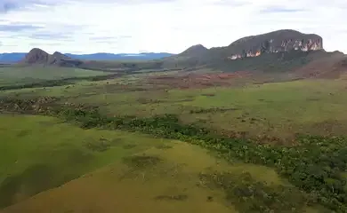 Cerrado: preservação e negócios são tema do Caminhos da Reportagem