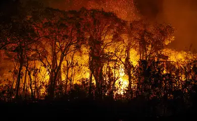 Defensoria Pública pede combate a incêndios em terras indígenas do MT