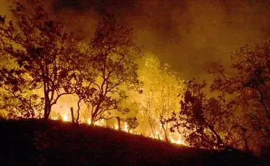 Bombeiros combatem mais de 330 incêndios no estado do Rio