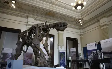 Museu de Ciências da Terra será revitalizado no Rio