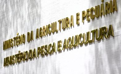 Gripe aviária leva o Paraná a decretar emergência zoossanitária