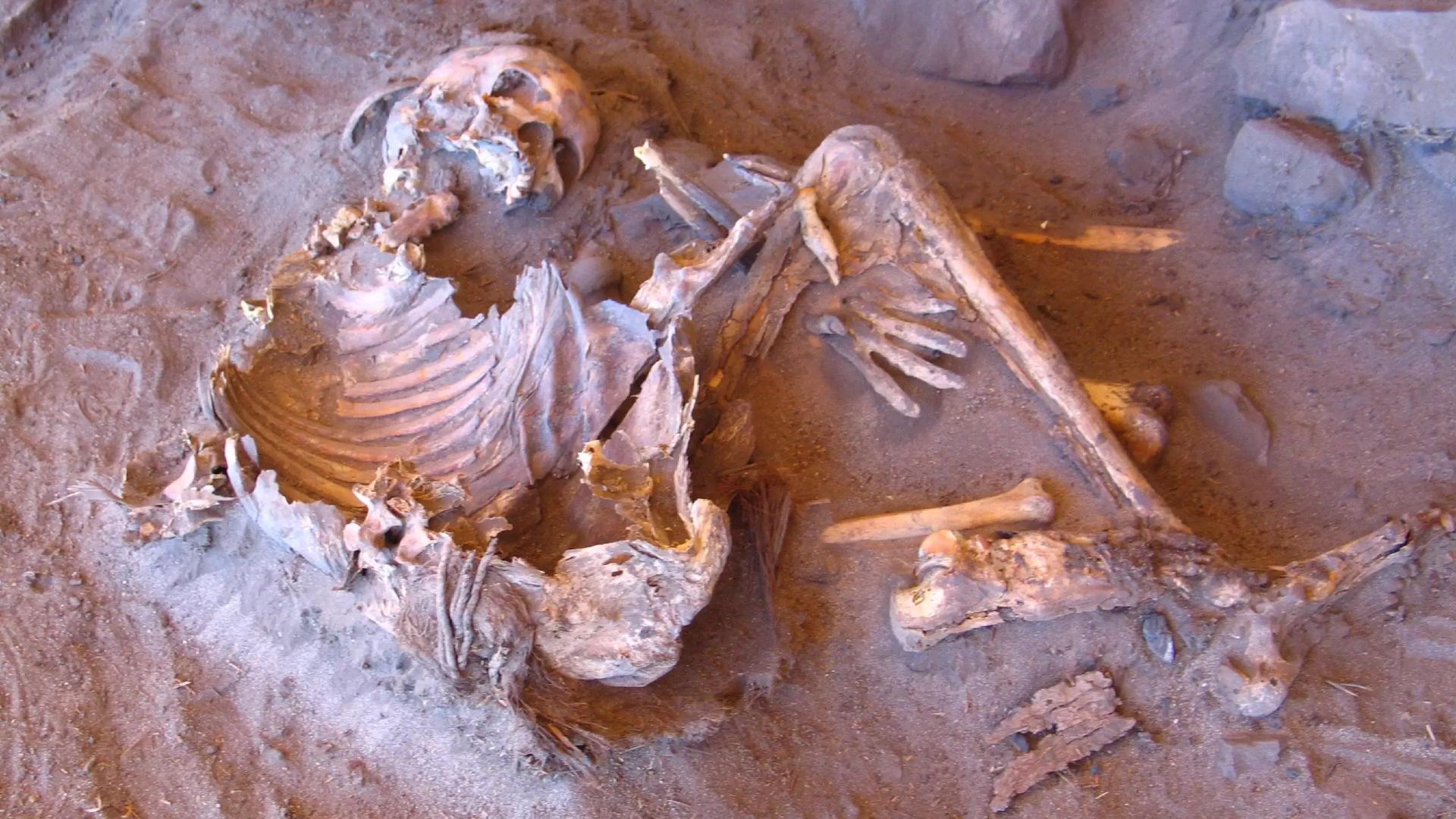 Análise de DNA antigo revela características dos habitantes do ‘Saara verde’