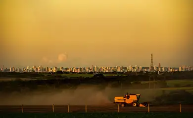 Monoculturas contribuem com crise climática, mas sofrem consequências