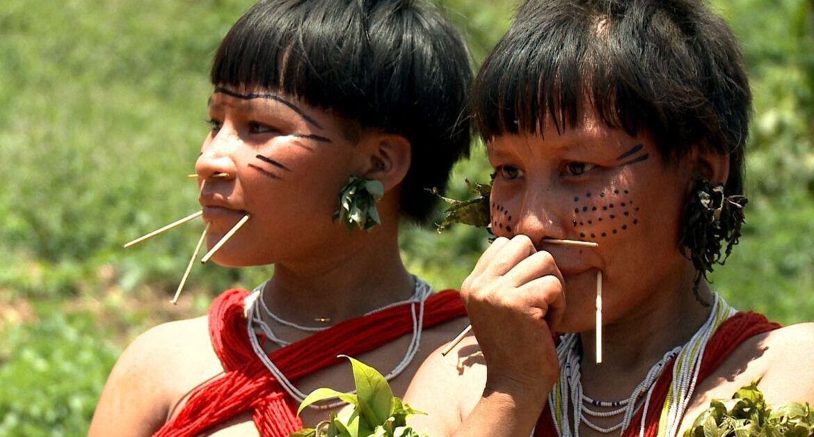 Censo mostra desigualdade na distribuição de terras indígenas