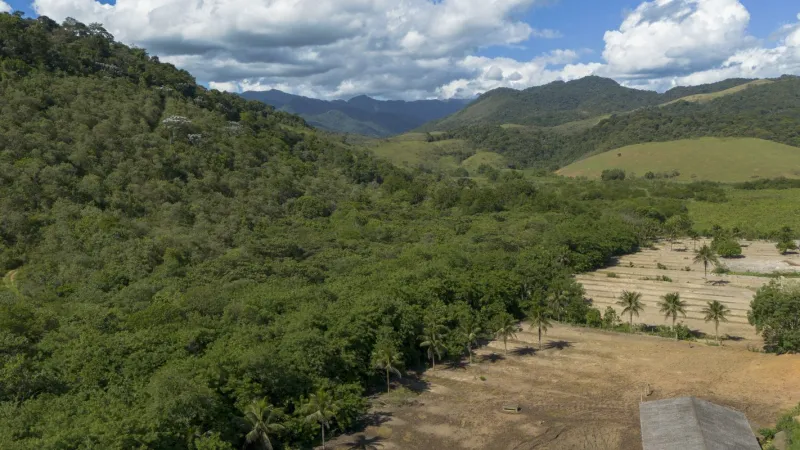 Agricultura ganha 11 milhões de hectares em 41 anos na Mata Atlântica