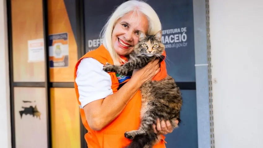 Na Defesa Civil de Maceió, três gatinhos encontram proteção, carinho e um lar
