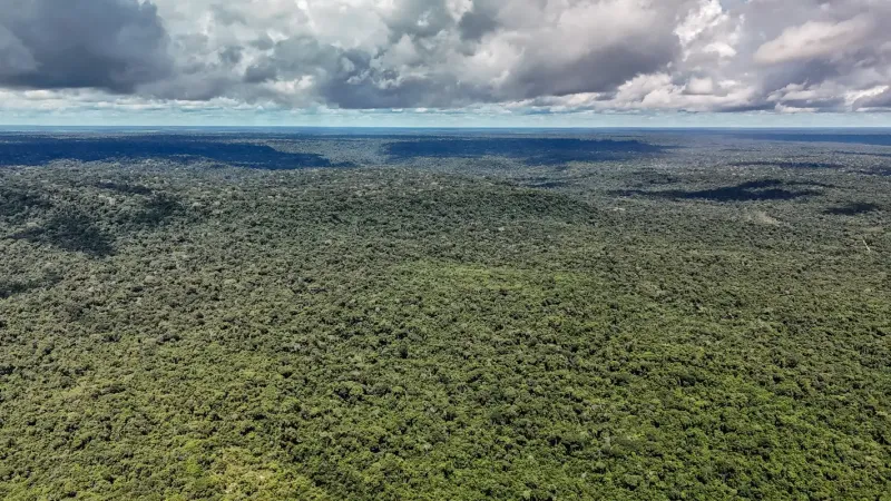 MapBiomas: Amazônia registra menor nível de desmatamento em 41 anos
