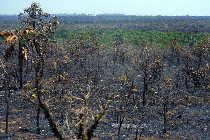Desmatamento do Cerrado emite 135 milhões de toneladas de CO2