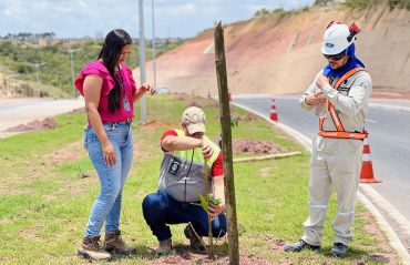 Alurb inicia plantio de mudas de árvores nativas no canteiro da Via da Integração