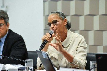 Marina alerta: "Podemos perder o Pantanal até o fim do século"