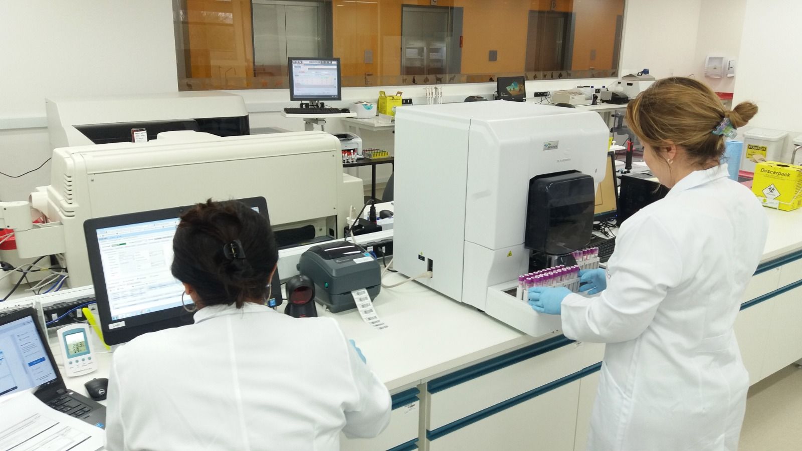 Líder global em inovação para a saúde animal comemora uma década de mercado pet no Brasil