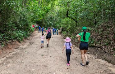 Parque Municipal fecha trilhas para manutenção