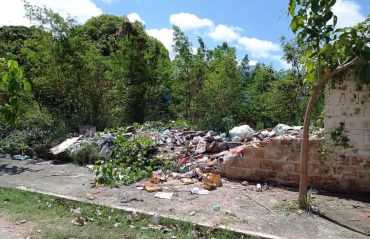Denúncias de terrenos abandonados representam 40% do total de ocorrências registradas pela Alurb