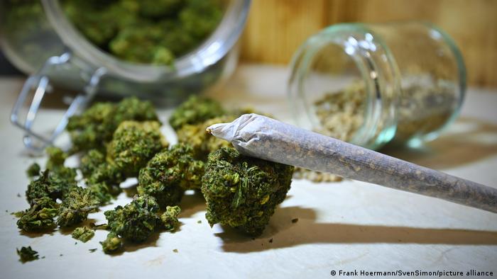 Maconha aumenta risco de psicose em adolescentes, diz estudo