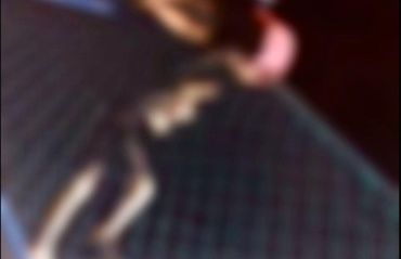 Segurança Cidadã identifica autor de vandalismo em arena na parte alta da cidade
