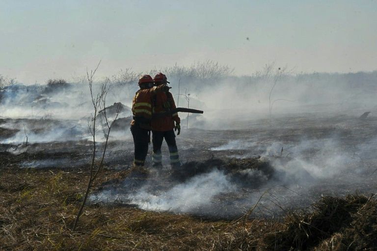 Incêndios florestais deixam 30 cidades de São Paulo em alerta máximo