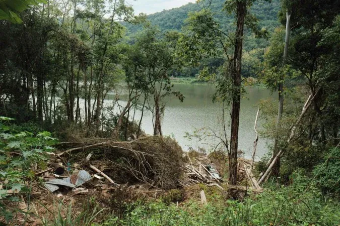 Estudo mostra que Piauí e Bahia lideram o desmatamento da Mata Atlântica