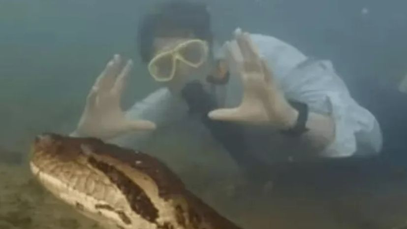 Biólogo desmente holandês que afirmou ter nadado com cobra de quase oito metros na Amazônia
