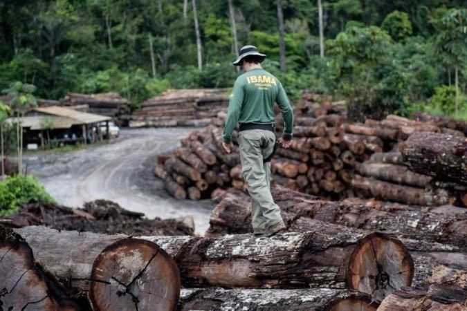 Desmatamento da Amazônia cai 21,8% em um ano; Pantanal reduz 9,2%