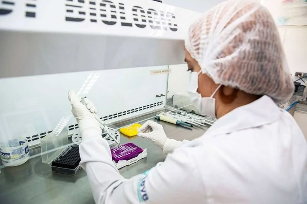 Anvisa aprova primeira vacina para chikungunya no Brasil