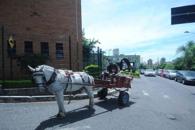 Vereadores aprovam projeto de lei que antecipa fim das carroças em BH